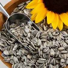 Sun Flower Seeds 500g