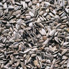 Sun Flower Seeds 500g